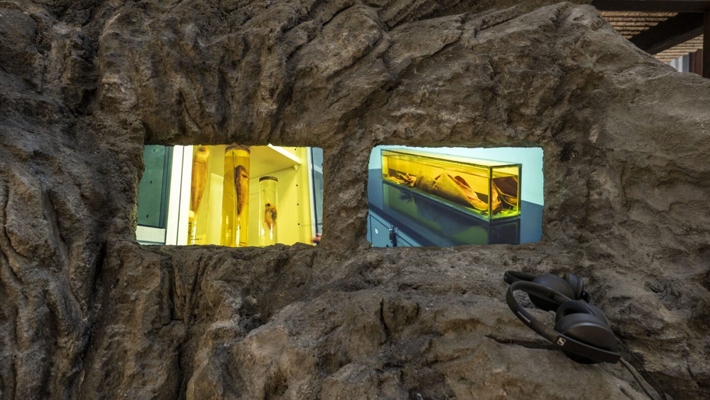 As Jornadas de Alex D'Alva Teixeira