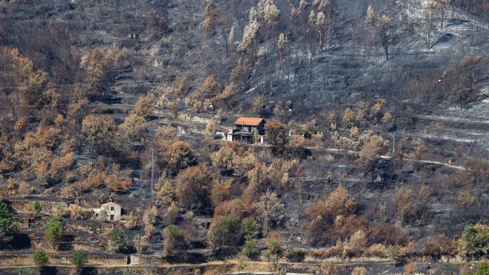 Recursos de 19 milhões destinados a atividades emergenciais e rotineiras na floresta - PPulse