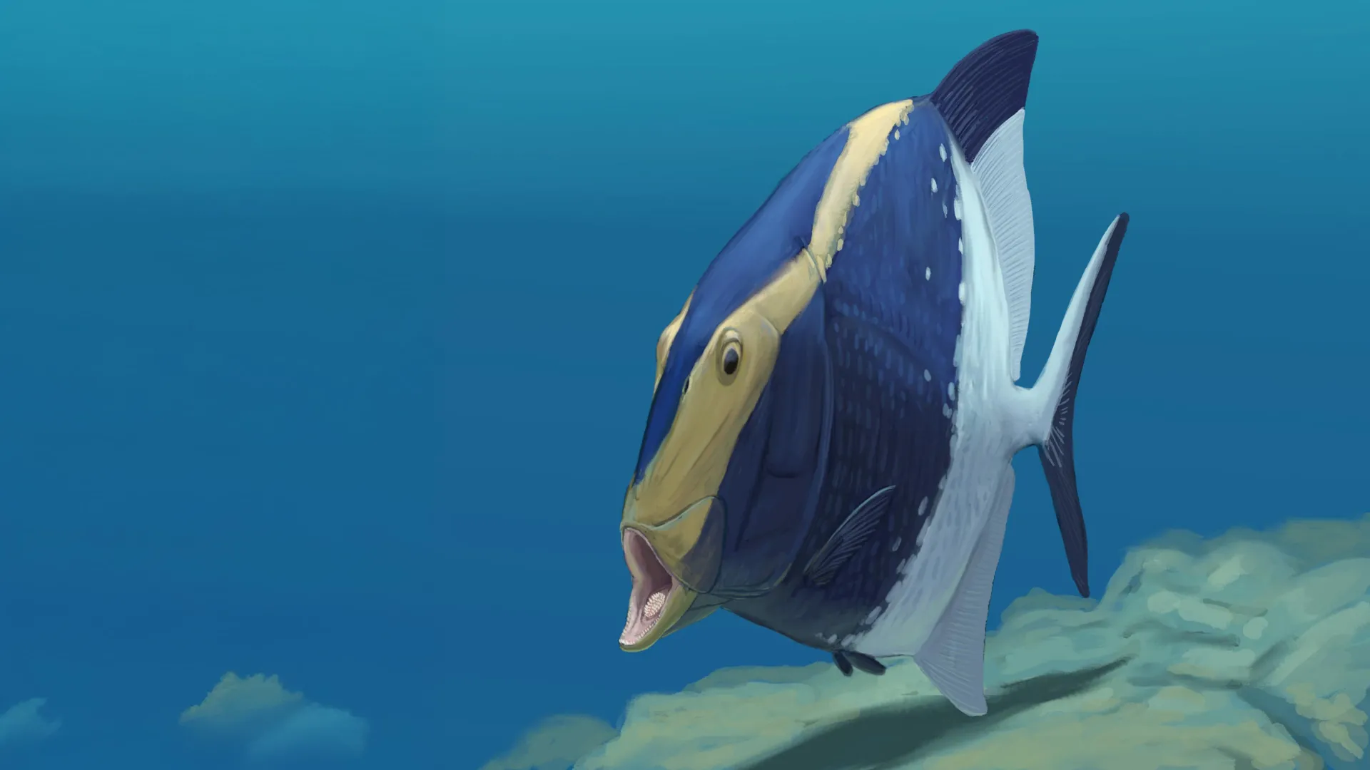 Fóssil descobre um peixe de 310 milhões de anos que se alimentava com uma mandíbula oculta secundária.