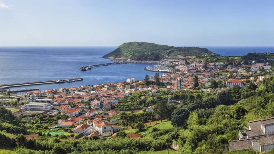 Três indivíduos deslocados de residência devido a uma árvore caída na Ilha do Faial - PPulse