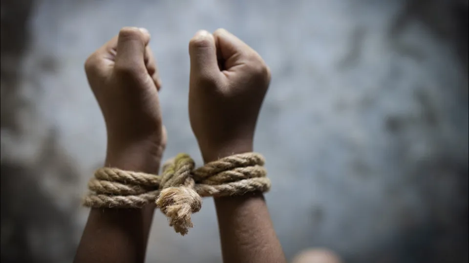 Oito mulheres libertadas, vítimas de uma rede de tráfico comandada a partir do Algarve - PPulse