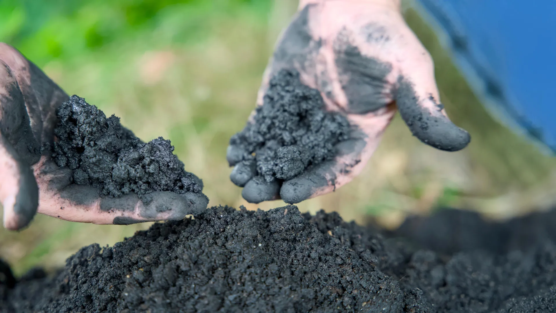 O poder oculto do biochar pode transformar a água potável para sempre