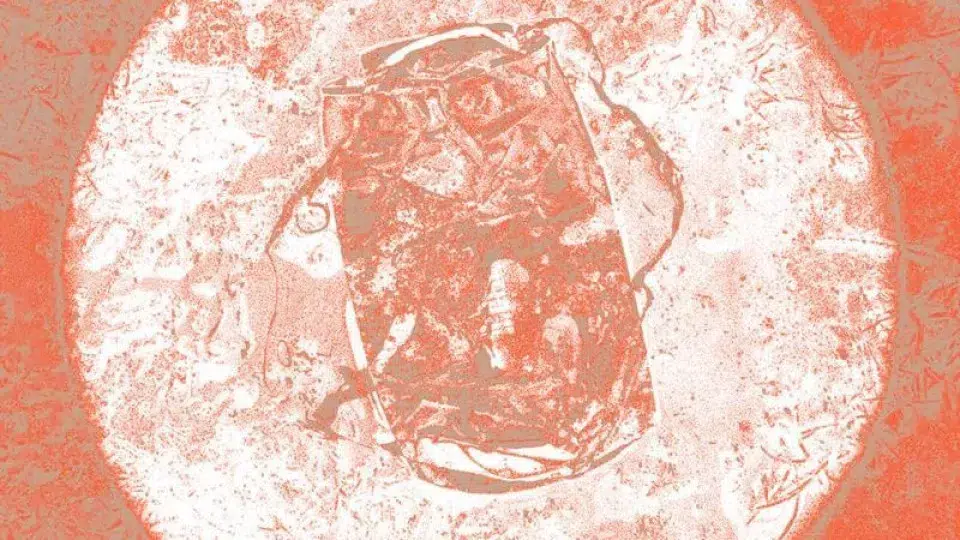 O Festival Variedades Retorna a Alcanena para a 13ª Edição - PPulse