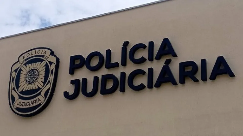 Cráneo humano descoberto nos terrenos do antigo hospital psiquiátrico - PPulso