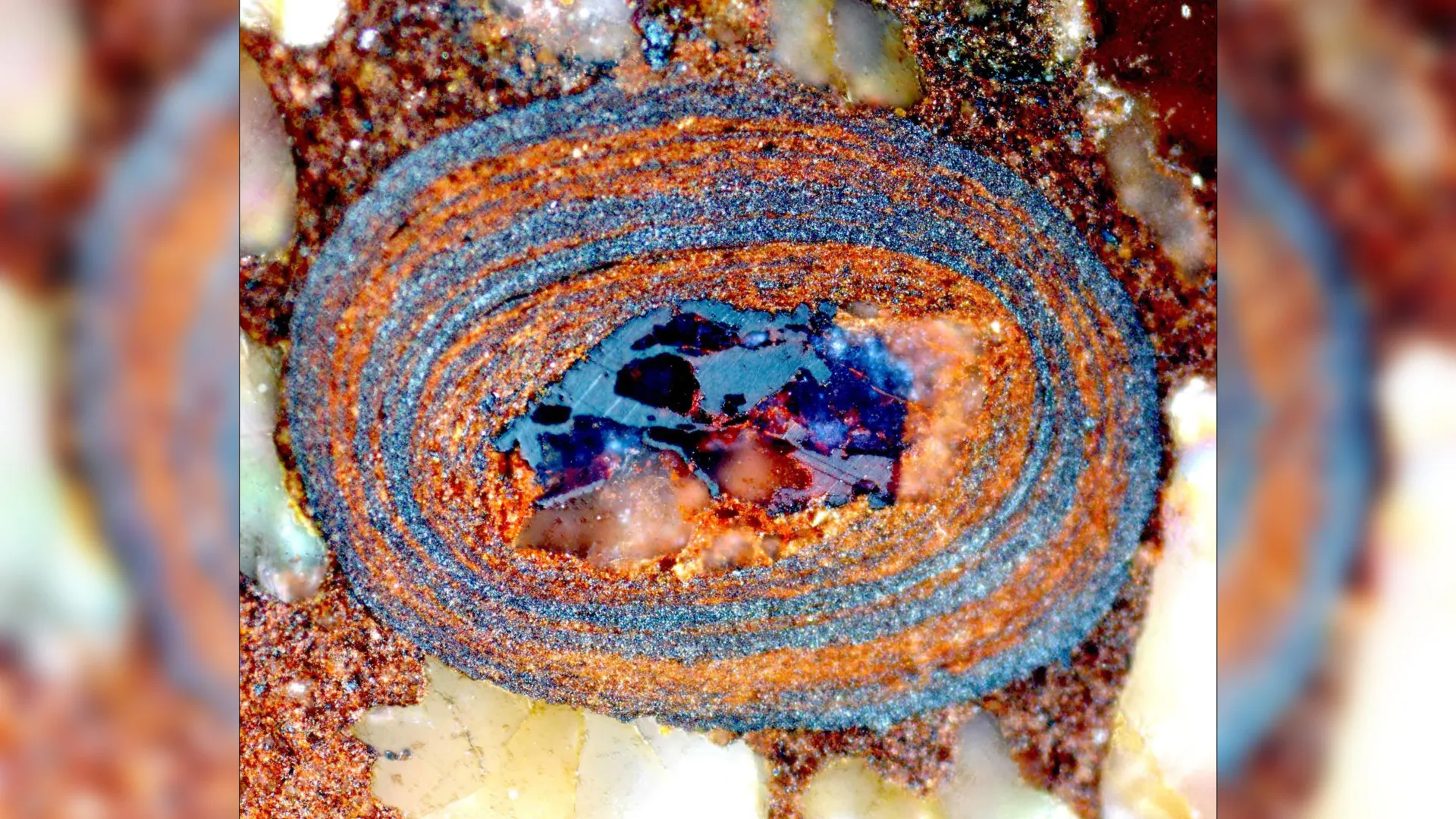 Minúsculos Pedrinhas Reescrevem a Narrativa da Evolução do Planeta