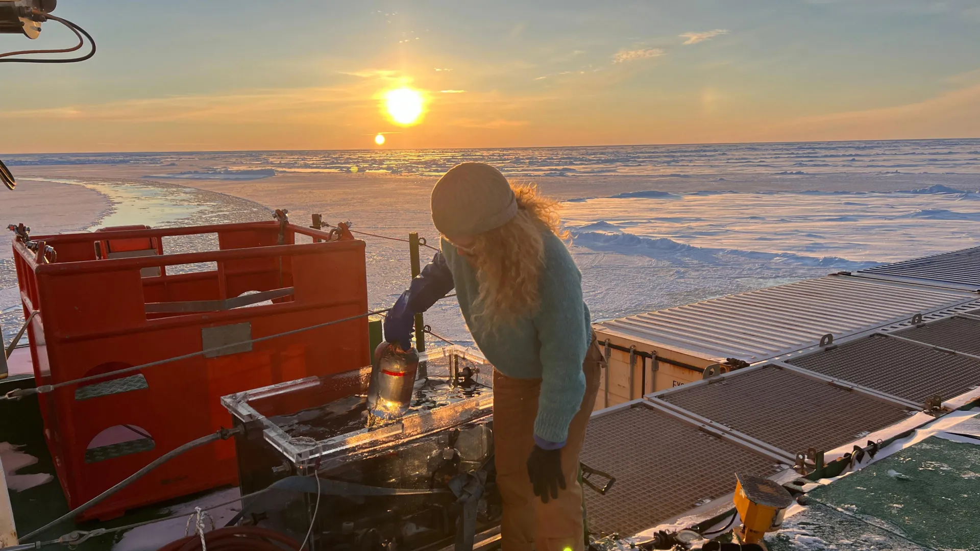 Cientistas Descobrem Vida Oculta Prosperando Sob o Gelo Ártico