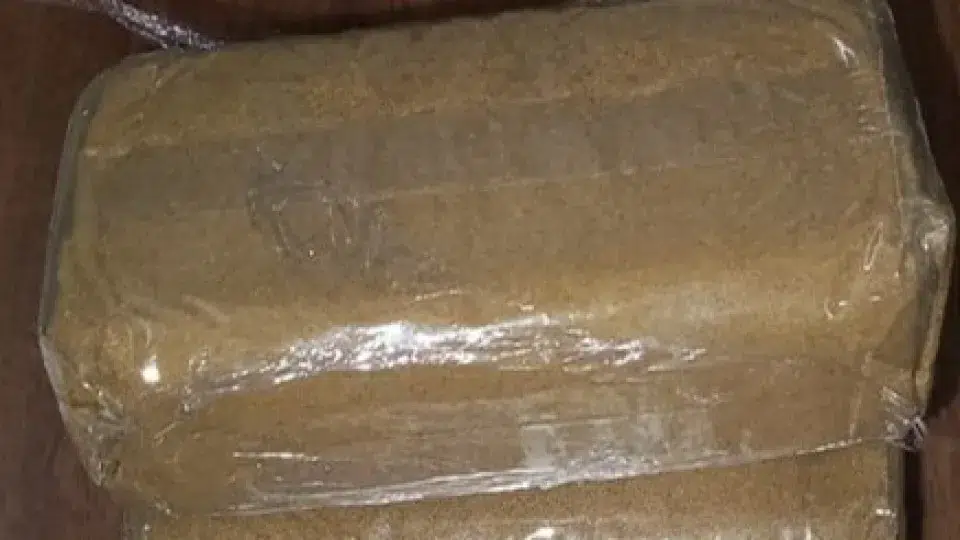 Duas mulheres detidas nos Açores com 32 quilos de haxixe e um de cocaína - PPulse