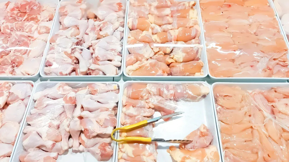 Gripe Aviária: Hong Kong proíbe importação de carnes da região de Porto - PPulse