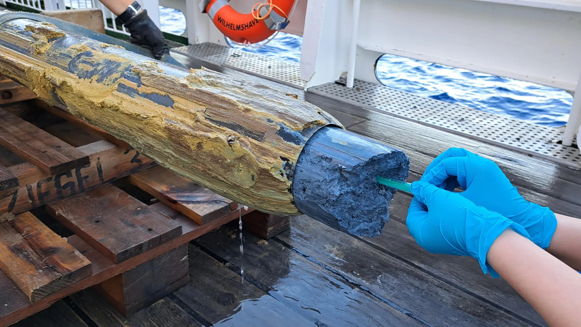 Vida Descoberta em um Local que Cientistas Consideravam Impossível