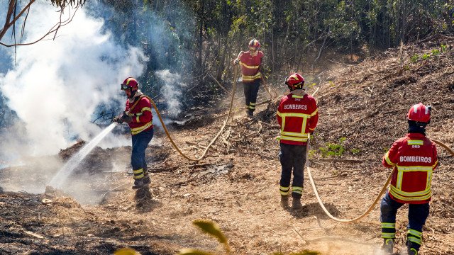Proteção Civil. Montenegro divulga "comando operacional" para Bombeiros - Pulsar PP