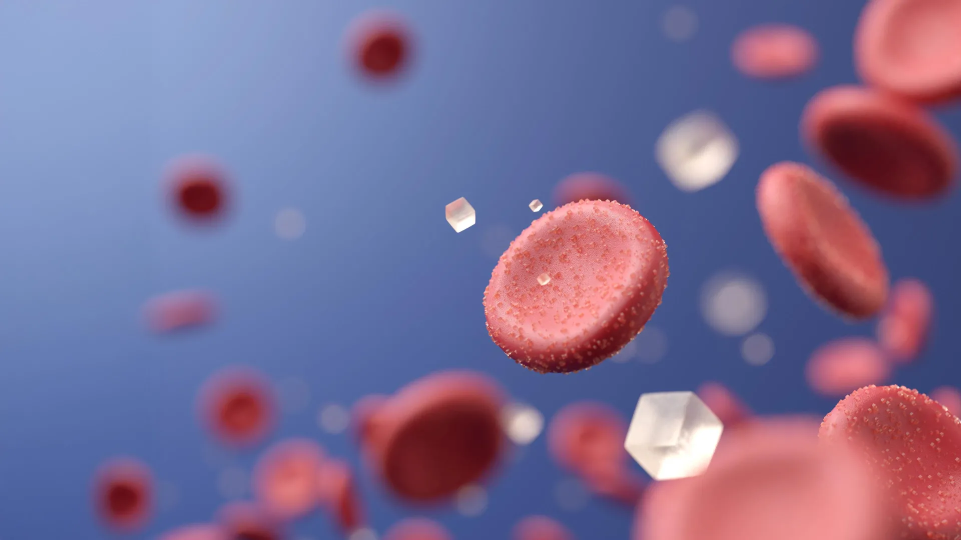 Baya do deserto rara pode revolucionar o tratamento do diabetes