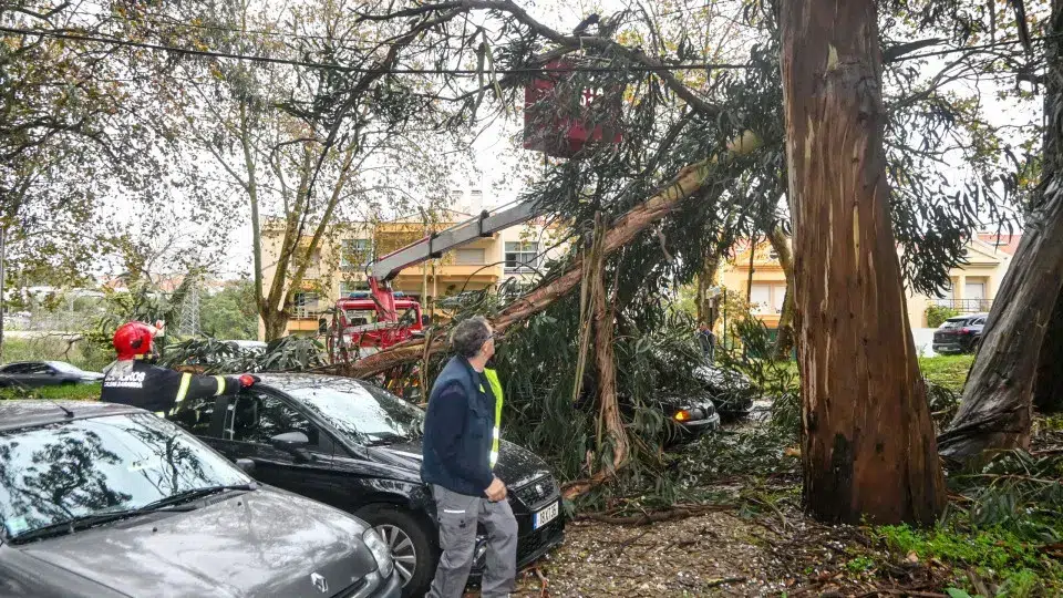 Portugal Continental registra 198 acontecimentos durante as primeiras horas da manhã.