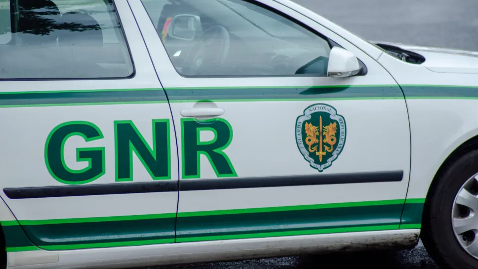 Homem falece atropelado por árvore enquanto cortava lenha em Trofa - PPulse