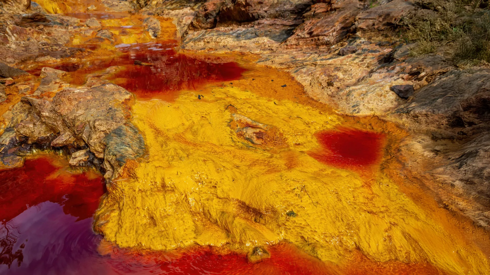 Micro-organismos que respiram ferrugem podem auxiliar na preservação dos oceanos da Terra.