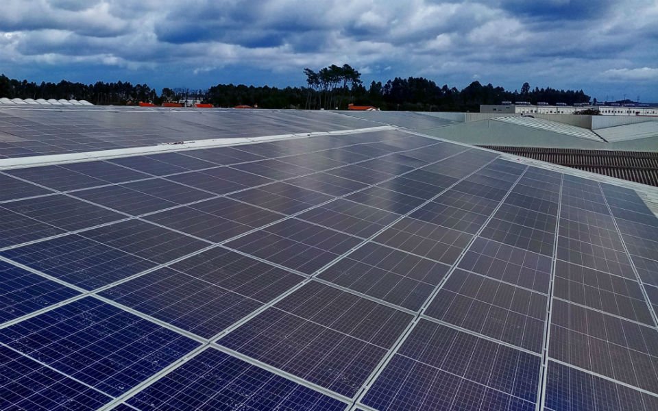 Acima de 50 milhões na última pauta do ano do Fundo Ecológico para impulsionar iniciativas essenciais