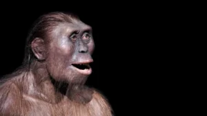 Uma estranha pé antigo descobre um parente humano oculto