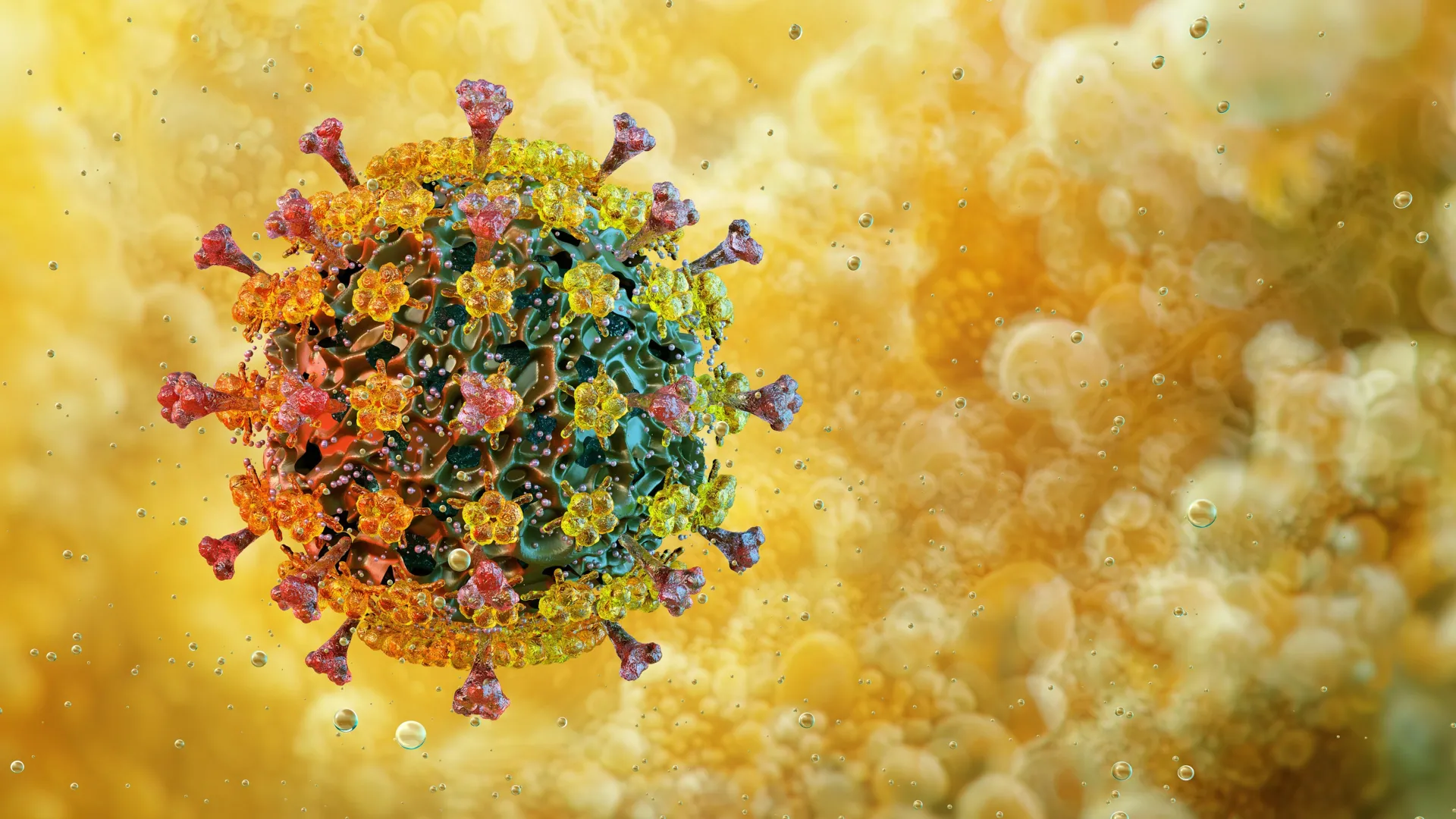 A surpreendente resistência ao calor do vírus da gripe aviária preocupa especialistas