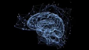 Por que certas recordações permanecem eternamente enquanto outras desaparecem rapidamente?