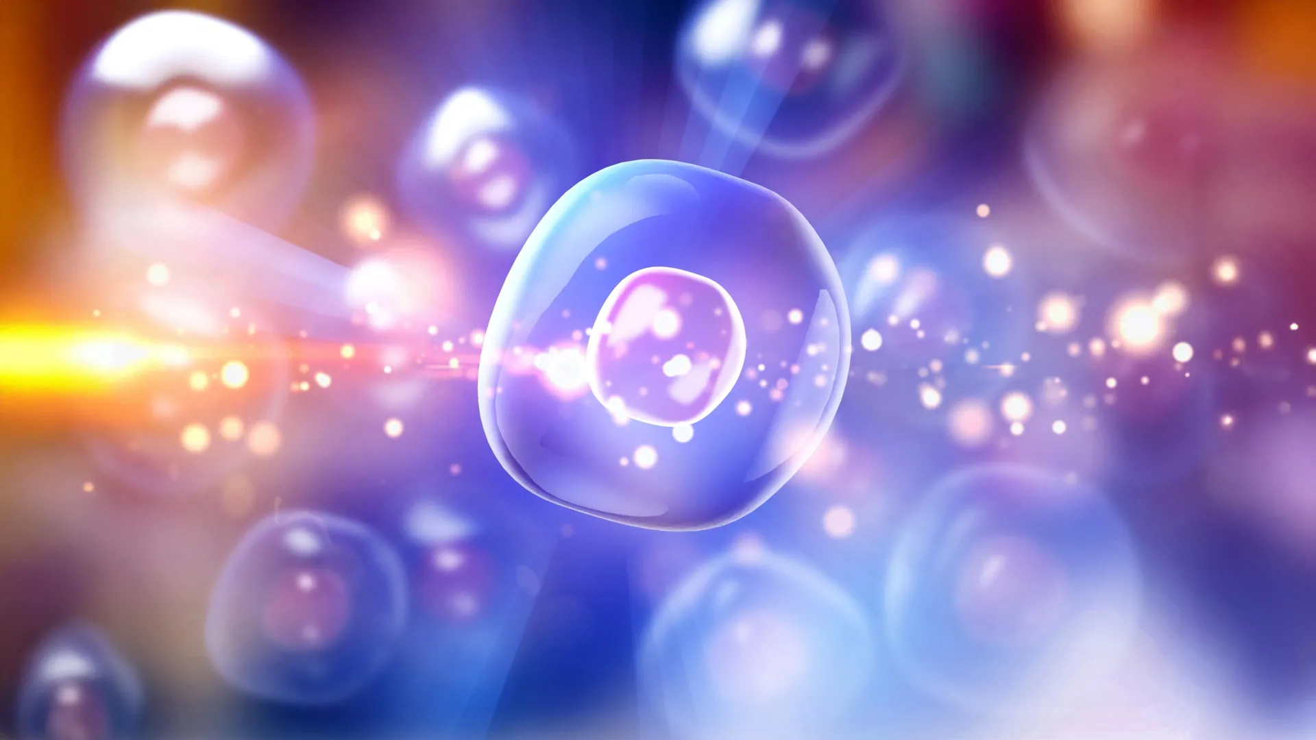 Nova terapia celular da Stanford elimina diabetes tipo 1 em roedores.