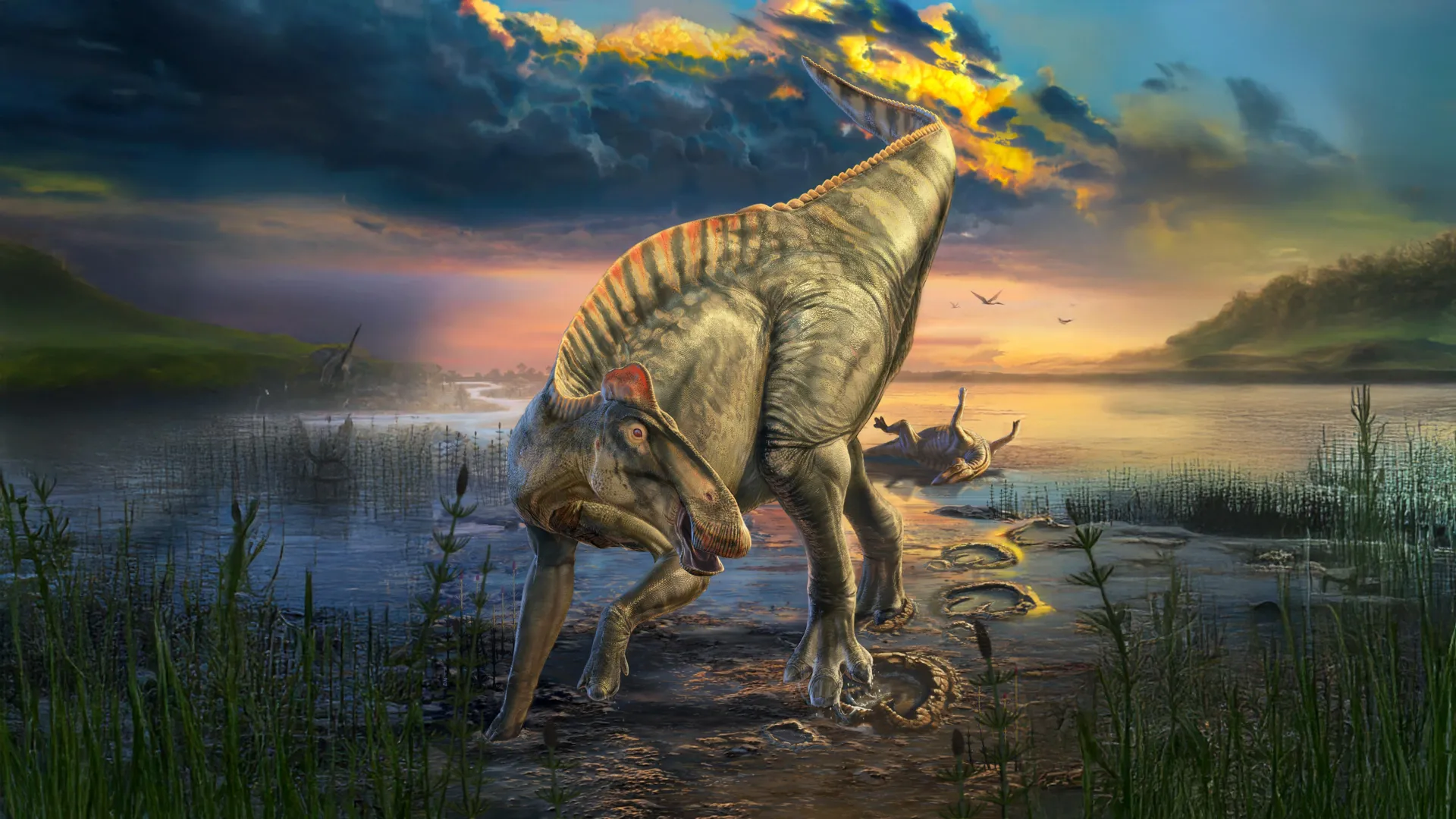 Múmia de dinossauro descoberta com cascos e uma crista oculta