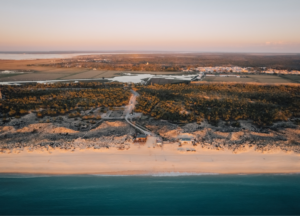 Imported Article – 2025-12-14 10:43:29