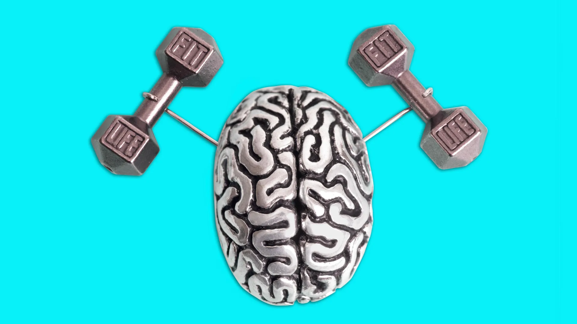 A característica corporal que auxilia na juventude cerebral