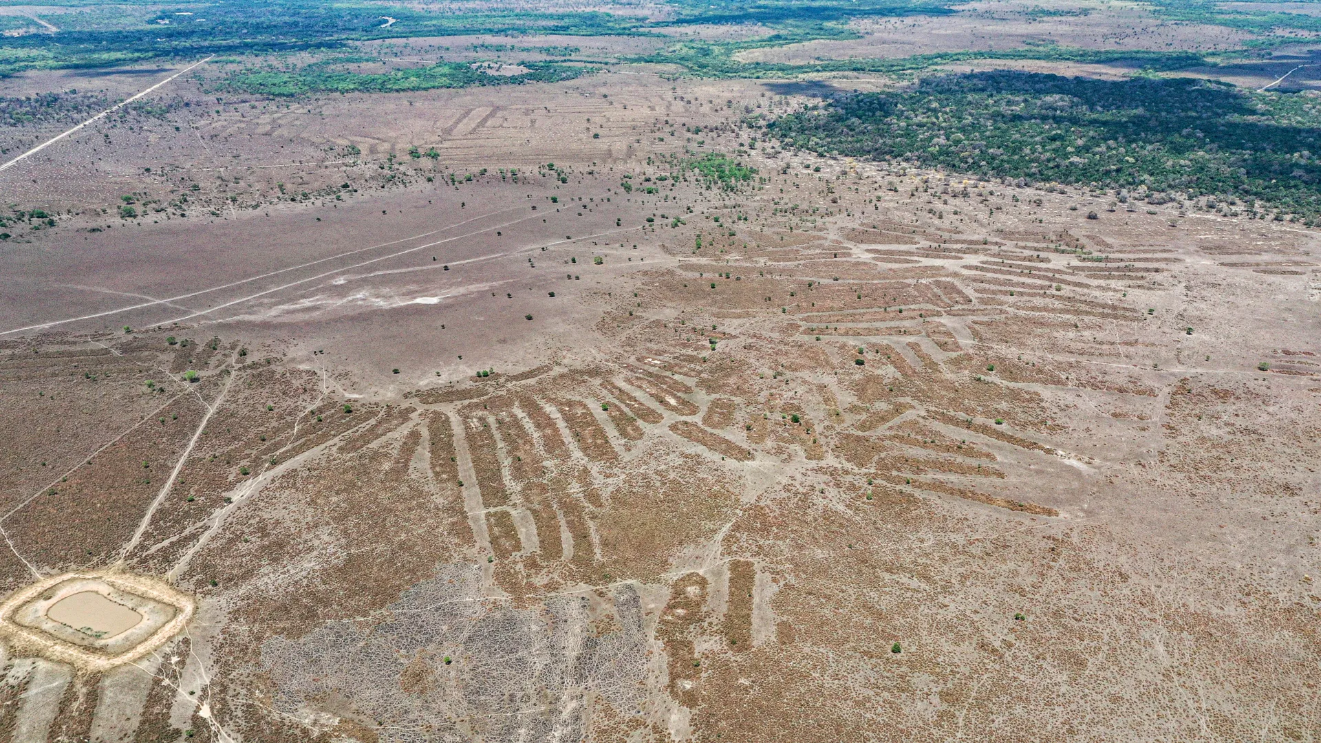 Um mundo amazônico desaparecido ressurgiu na Bolívia.