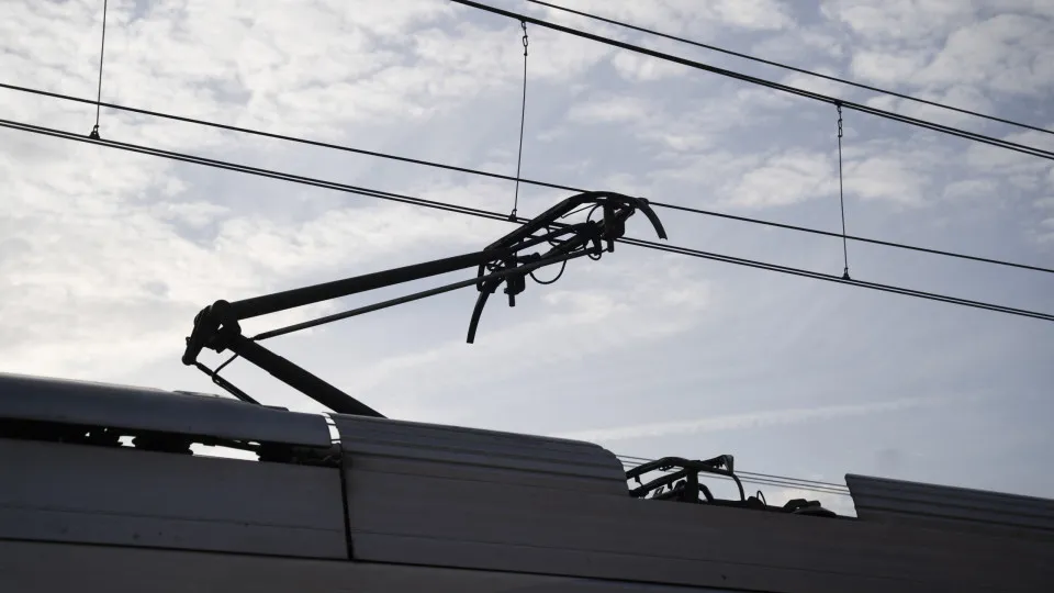 O relatório ecológico irá determinar as condições da rota do TGV em Gaia.