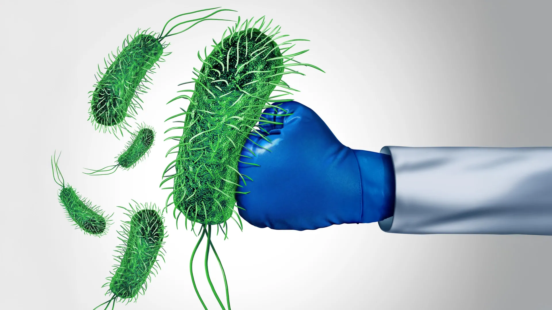 Um novo exame revela quais antibióticos realmente eliminam microrganismos.