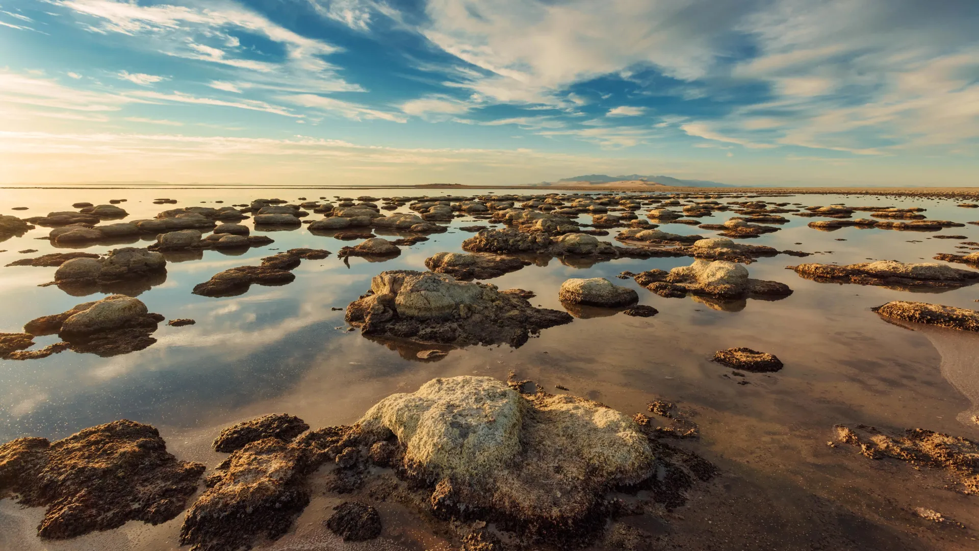 Uma criatura inédita foi descoberta no Grande Lago Salgado.