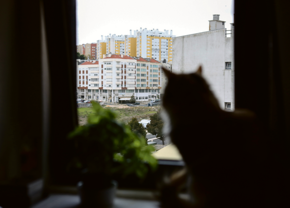 Moradia: De que maneira as despesas com normas diminuem as seleções para associações