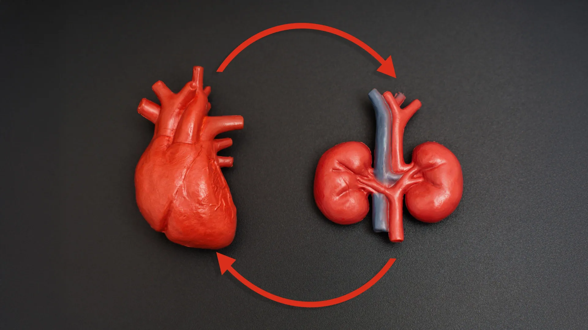 Uma condição de saúde pouco conhecida pode impactar quase todos.
