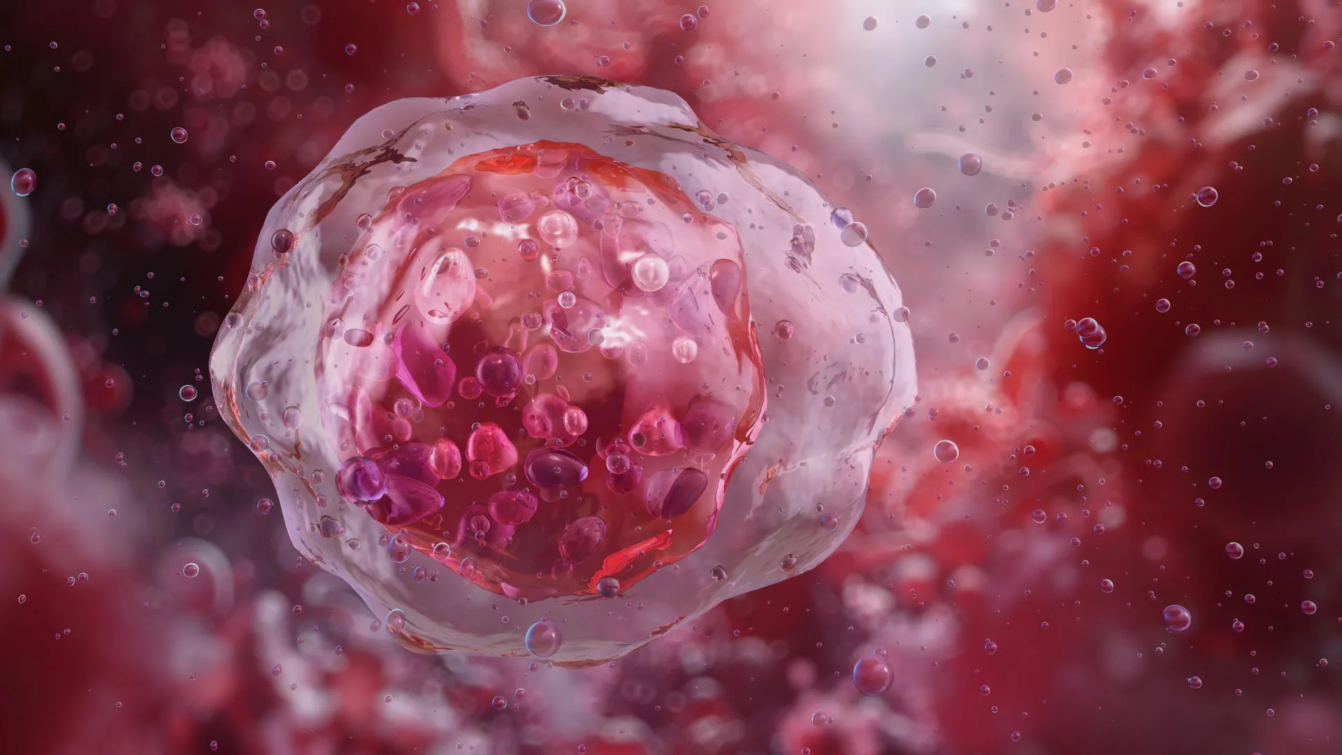 Esta IA identifica células sanguíneas perigosas que médicos costumam ignorar.