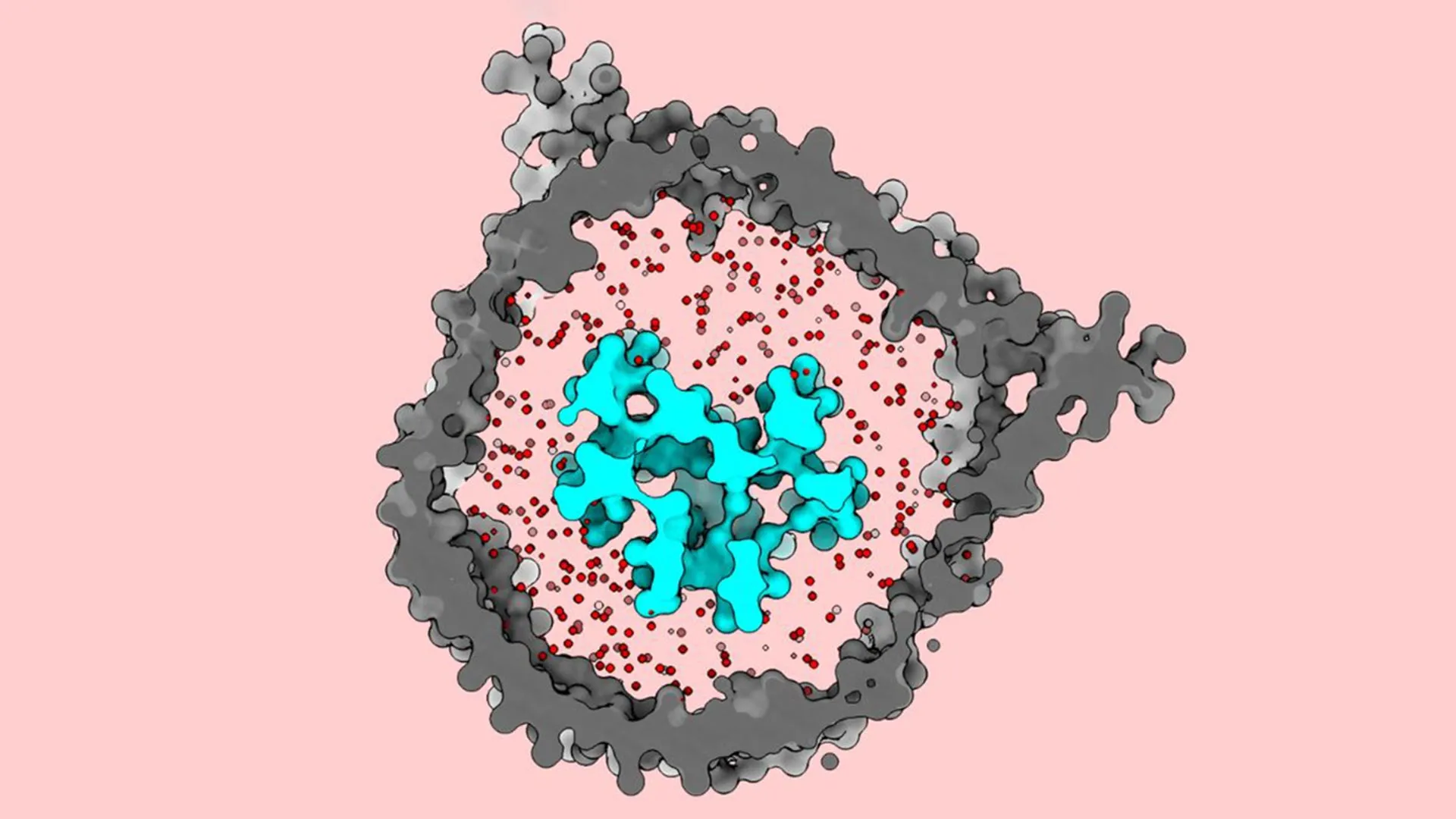 Imported Article – 2026-01-07 04:07:28