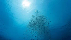 O ar que você respira depende de um pequeno componente marinho