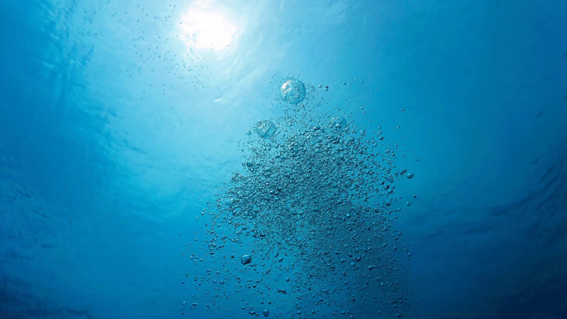 O ar que você respira depende de um pequeno componente marinho