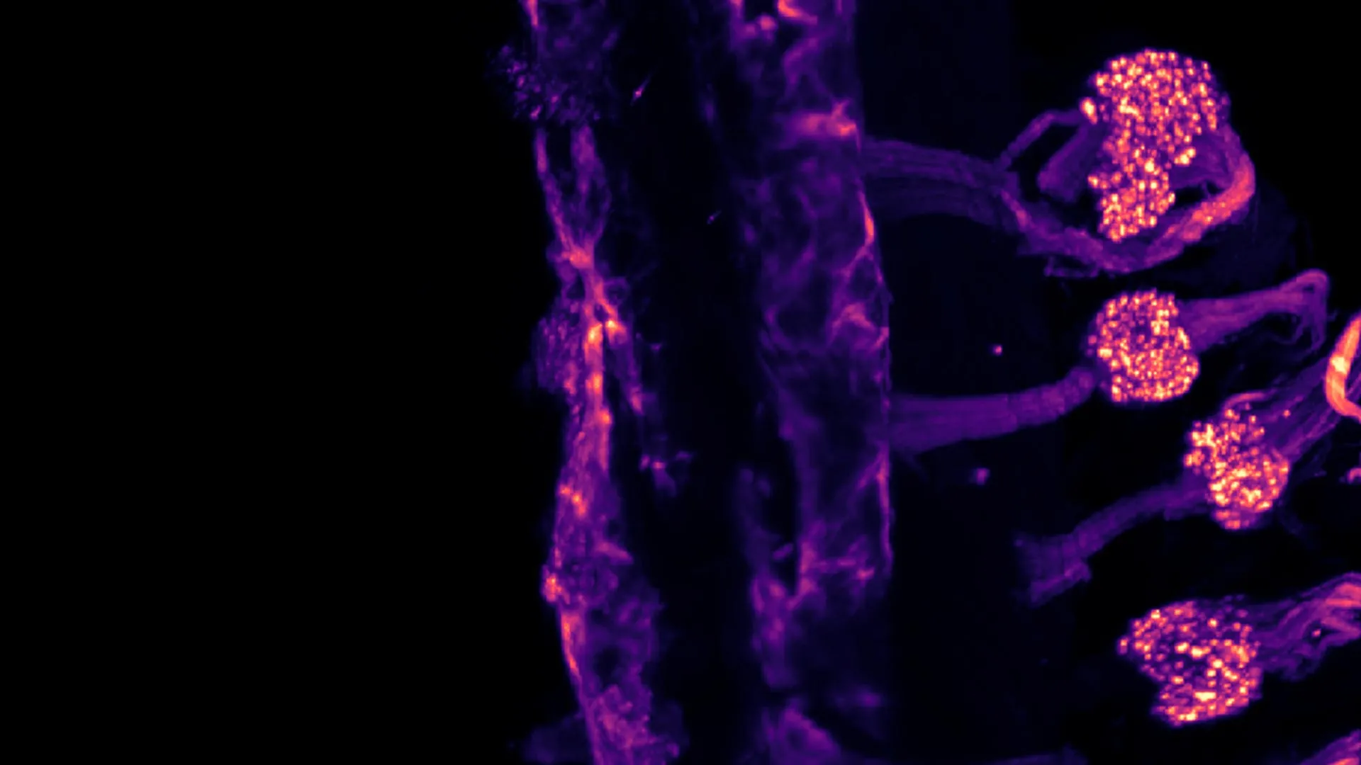 Seu corpo está gelado Sua pele sente frio