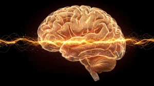 Um sinal cerebral oculto pode indicar Alzheimer muito antes do diagnóstico