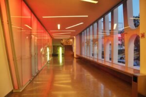 Na Localidade de São Miguel com Sérgio Condeço