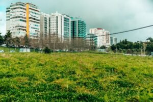 Quais são as expectativas para o novo Conselho Municipal de Lisboa?