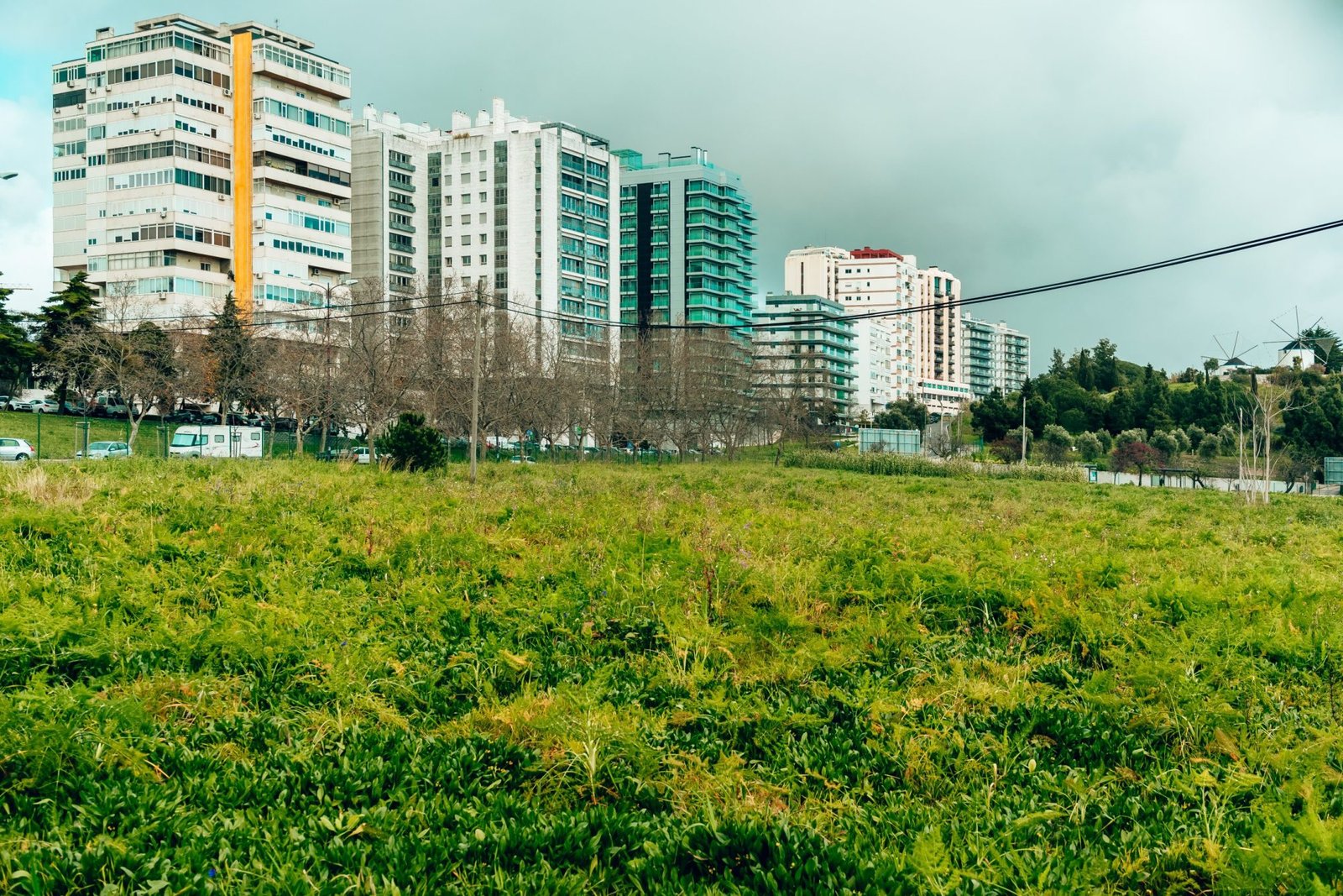 Quais são as expectativas para o novo Conselho Municipal de Lisboa?