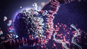 Esta estratégia simples de 3 aminoácidos potencializa a terapia com mRNA em 20 vezes