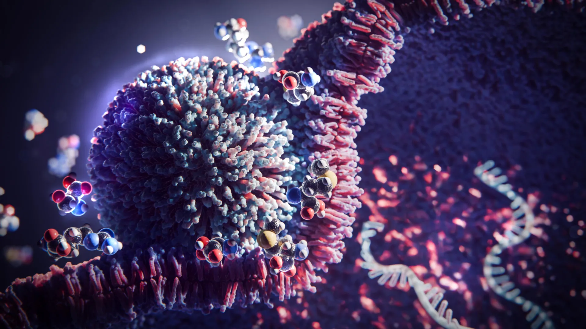 Esta estratégia simples de 3 aminoácidos potencializa a terapia com mRNA em 20 vezes