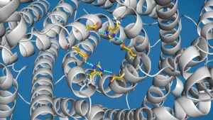 Pesquisadores encontram "válvula de transbordo" em células relacionada à Doença de Parkinson