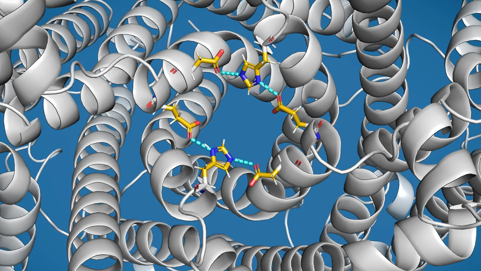 Pesquisadores encontram "válvula de transbordo" em células relacionada à Doença de Parkinson