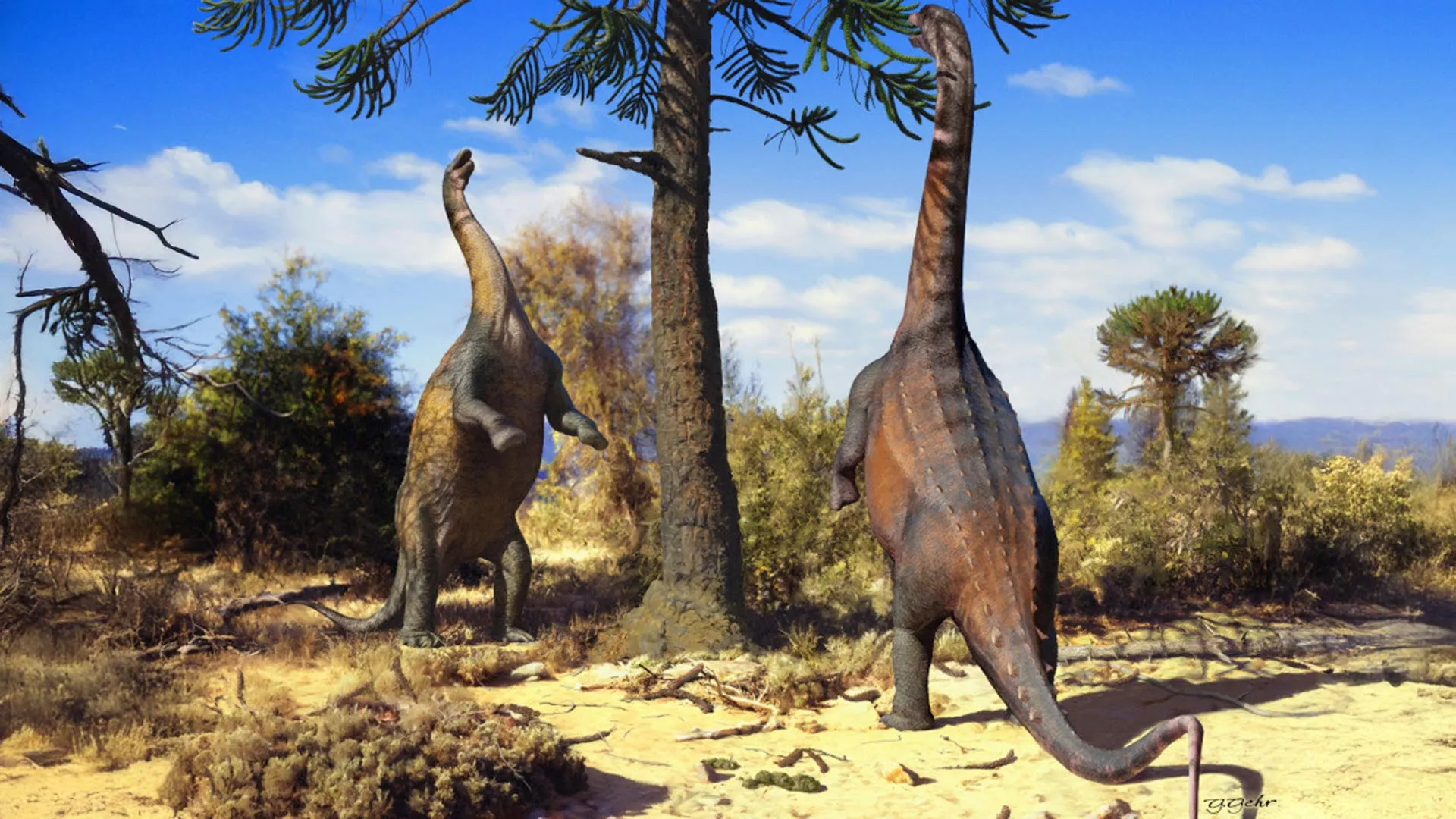 Alguns dinossauros podiam elevar